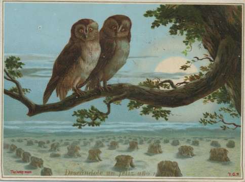 Raphael Tuck New Year's card - The honey moon