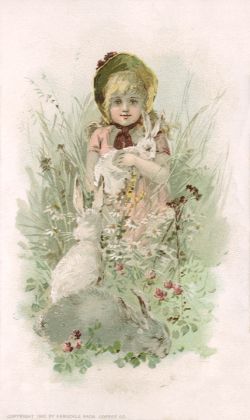 Rabbit