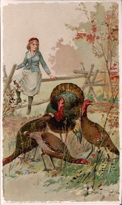 Turkey