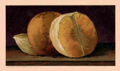 Oranges