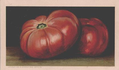 Tomatoes