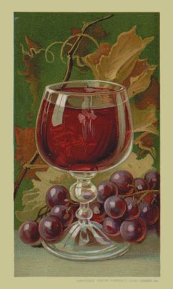 Wine glass and grapes