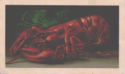 Lobster