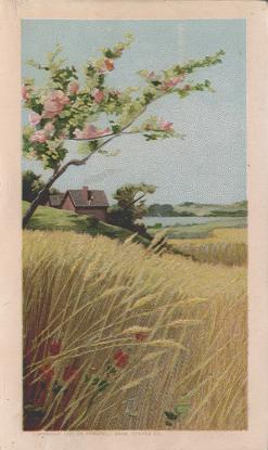 Wheat field and farm house