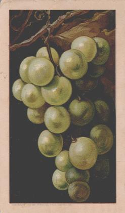 Grapes