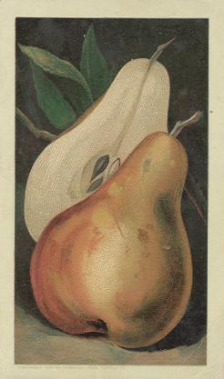 Pears