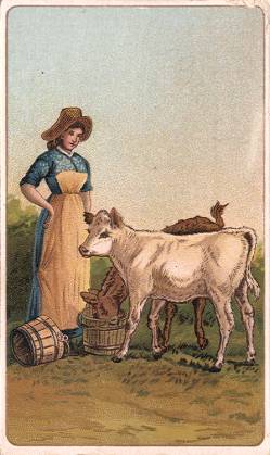 Woman with calves
