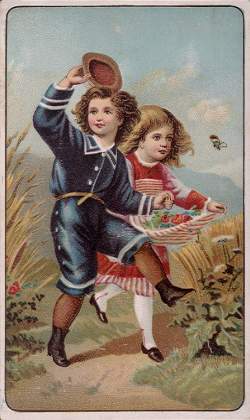 Children picking flowers