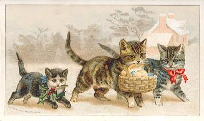 Arbuckle - Cats - Buying the Xmas Pudding