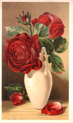 Arbuckle - red roses in vase