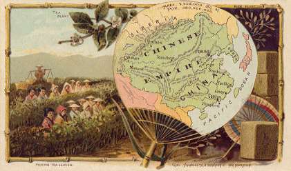 China map - Tea Plant; Picking Tea Leaves; Rice Plant