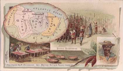Guiana map - Pepper Plantation