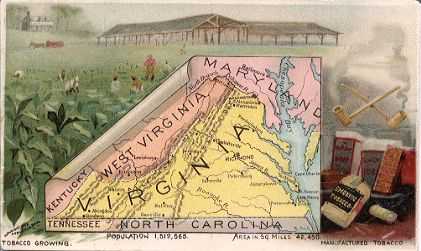 Virginia map - Tobacco growing