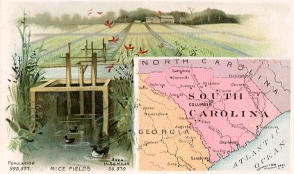 South Carolina map - Rice Fields