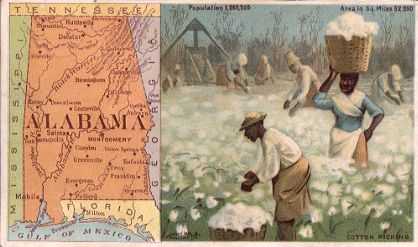 Alabama map - cotton picking