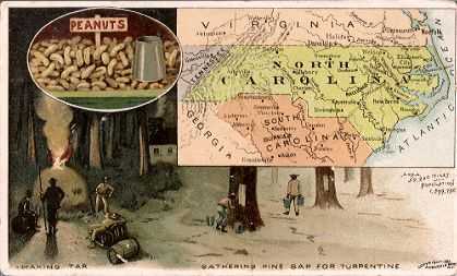 North Carolina map - peanuts, making tar, gathering pine sap for turpentine