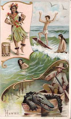 Hawaii - hula dancing, surfing, alligator hunting