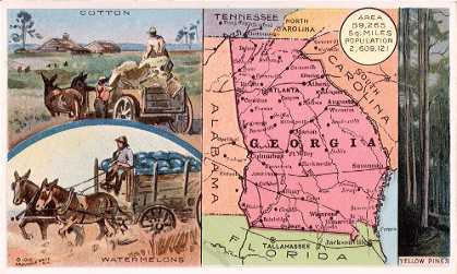 Georgia map - Cotton; Watermelons; Yellow Pines