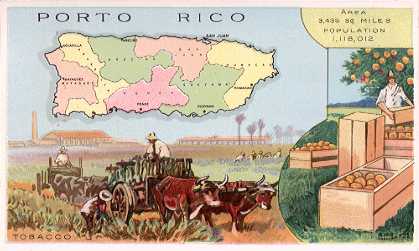 Puerto Rico map - Tobacco