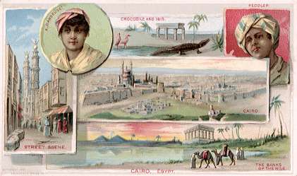 Cairo, Egypt - Crocodile, Ibis; Banks of the Nile