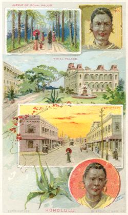 Honolulu, Hawaii - Avenue of Royal Palms; Royal Palace; Fort Street
