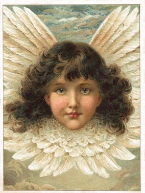 Arbuckle - Rebecca Coleman Angel Head