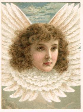 Arbuckle - Rebecca Coleman Angel Head