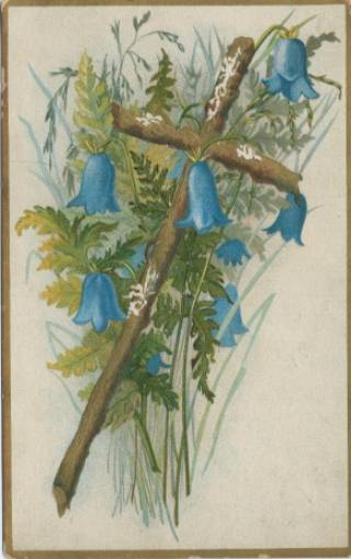 Vesta Laundry Soap card