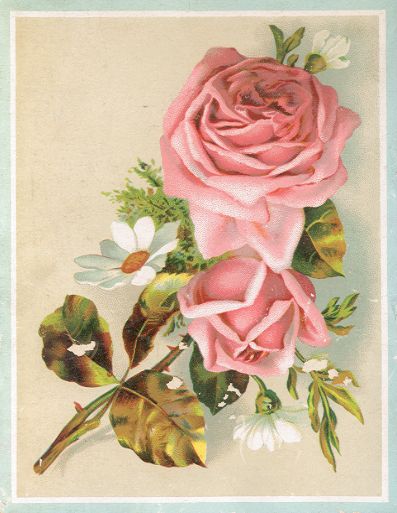 Vesta Laundry Soap card