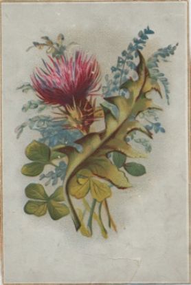 Vesta Laundry Soap card