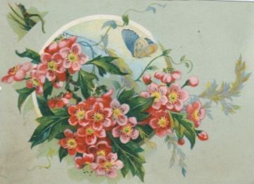 Vesta Laundry Soap card