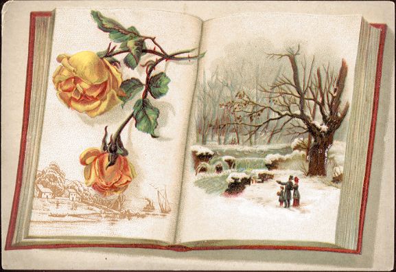 Vesta Laundry Soap card