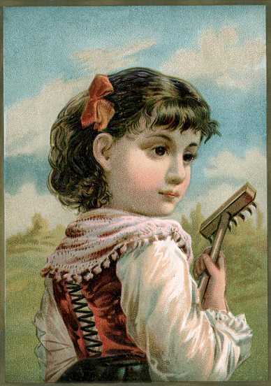Vesta Laundry Soap card