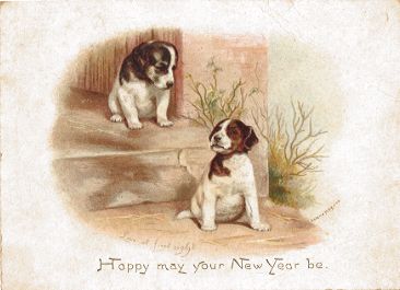 Raphael Tuck New Year card - "Love at first sight"
