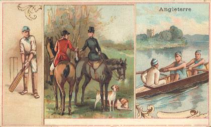 Angleterre - CHICOR�E A LA BERG�RE