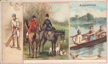 Angleterre - CHICOR�E LERVILLES