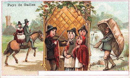 CHICOR�E A LA BERG�RE - Pays de Galles