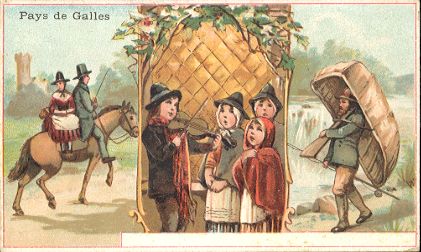 CHICOR�E LERVILLES - Pays de Galles