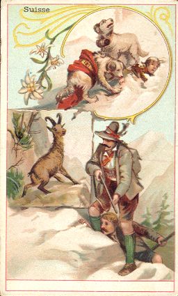 CHICOR�E LERVILLES - Suisse