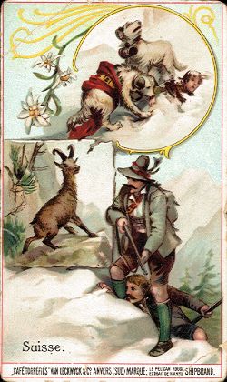VAN LECKWYCK & Co. ANVERS - Suisse