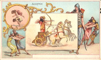CHICOR�E A LA BERG�RE - Assyrie