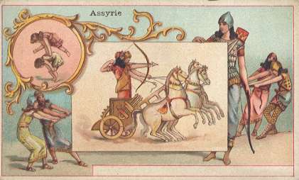 CHICOR�E LERVILLES - Assyrie