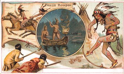Chicoree Lervilles - Peaux Rouges