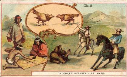 Chili - CHOCOLAT BESNIER