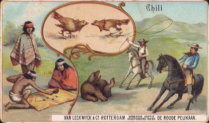 Chili - VAN LECKWYCK & Co. ROTTERDAM