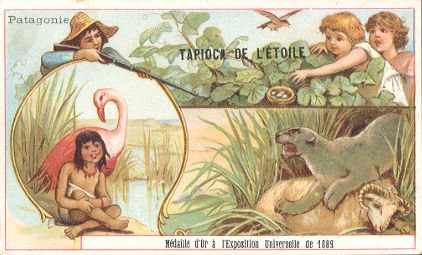 TAPIOCA DE L'�TOILE - Patagonie