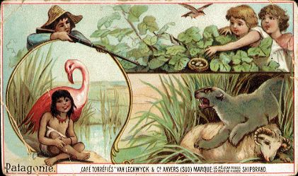 VAN LECKWYCK & Co. ANVERS - Patagonie