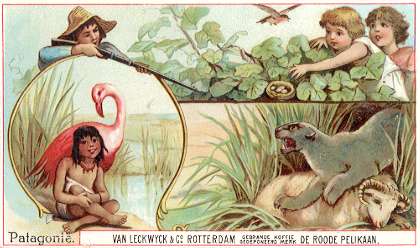 VAN LECKWYCK & Co. ROTTERDAM - Patagoni�