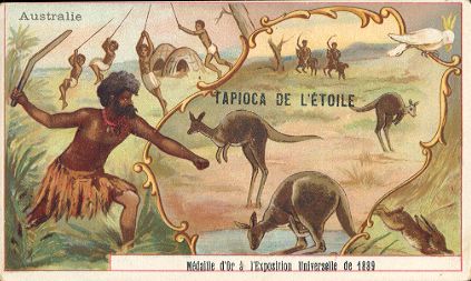 Australie - TAPIOCA DE L'�TOILE