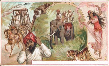 CHICOR�E A LA BERG�RE - Inde